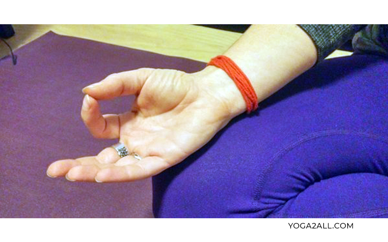 Yoga Mudra